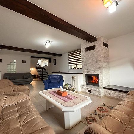 Skyline Villa Azuga Εξωτερικό φωτογραφία
