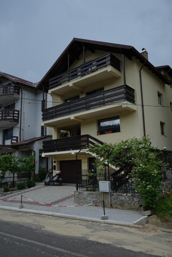 Skyline Villa Azuga Εξωτερικό φωτογραφία